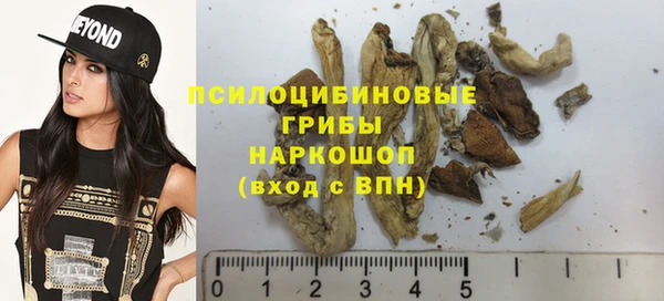 mix Богородск