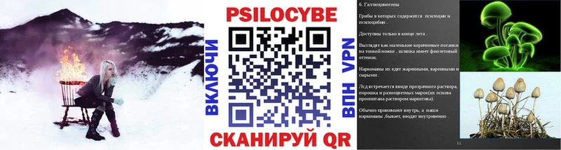 Купить где  Малоархангельск  Галлюциногенные грибы мицелий 